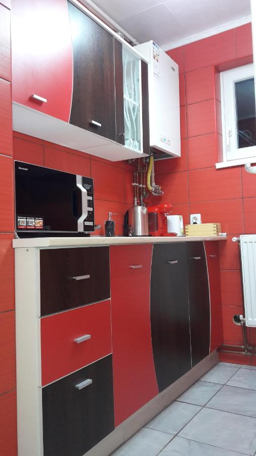 Florin Apartament Sighişoara Exterior foto