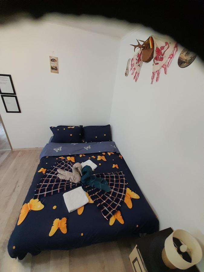 Florin Apartament Sighişoara Exterior foto